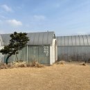 모모다인오픈하우스 이미지