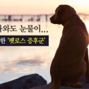 라피스호텔 이미지