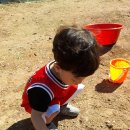 별솔농장 이미지