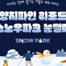 양지파인리조트 이미지