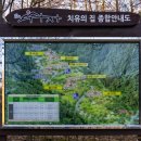 양평쉬자파크 | [양평] 자연 휴양림 쉬자파크 머무름의 기록