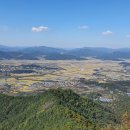 금오서부로 이미지