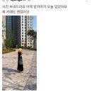 [후기♡]바냐드 차륵시리즈 반팔 원피스, 볼앤체인 트윈호스