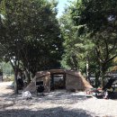 숲속에 머물다 이미지