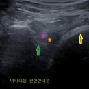 마디의원, 편한한의원 이미지