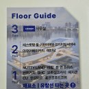 머스마 | 여의도 한강공원 기린이찌방프리미엄비어바 한강뷰 솔직후기