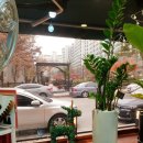 헤어스페이스 이미지