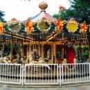 우치흑염소 이미지