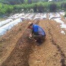 옥주농장 이미지