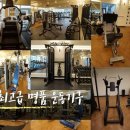 덕오빌딩 | 무전동헬스장 통영헬스 PT 피티 머슬팩토리 가격 위치 소개