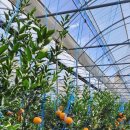 시은농장 이미지