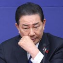 큰나무연합의원 세계일보