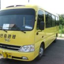 안중관광여행사