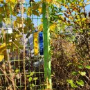 이목2리 이미지