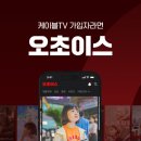 오초이스 이미지