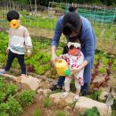 삼각산농장 이미지