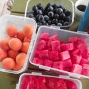 코코애견펜션 이미지