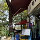 시흥 물왕저수지맛집 낙지전문점 해미담 솔직후기 + 전통찻집 물안골사람들 실타래빙수