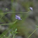 원동재로 이미지