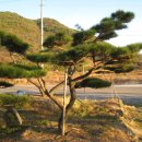 지리산 농장 이미지