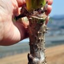 마리네 농장 이미지