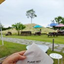 앨리스in동물병원 | 제주 카페 자연in Plant827 자연친화적 수국 동물먹이주기 함께
