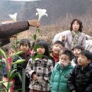 “웃음 꽃 가득한 교정 만들어요” /백합 화훼농원 운영 홍미애 씨 이미지