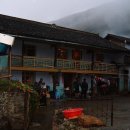 임대원 | 비비 꼬이다 만 중국 사천성 스하이져산(蛇海子山)