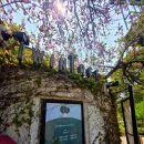 시원 | 남양주 한강뷰 카페 트윈트리, 시원한 강바람 속 힐링 후기! 🌊✨