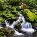 계곡1번지 이미지