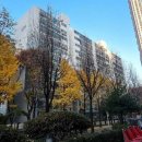 중흥마을 극동아파트 (극동,두산) 네이버블로그