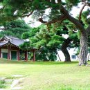 삼나루