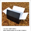 하늘디자인클럽 이미지