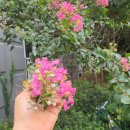 호텔 여기어때 영덕점 이미지