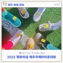 축제-평화의 축제 | [제주축제후기] 2025년 평화의섬 제주국제마라톤대회 (feat. 첫 마라톤 참가 후기)