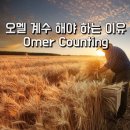 5784년 오멜계수 해야 하는 이유 (Omer Counting) / 살아있는 교회 / 안제우 목사 이미지