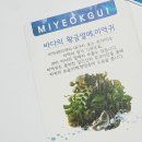 트러블진정팩 미역귀 마스크팩 화장잘먹어요