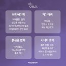 서울S가정의원 네이버블로그