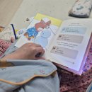 예림유치원 | 만 4세 잠자리 독서 그림책 추천 수동예림 황수연 녹지 마 눈사람