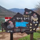 평지못(1) 이미지