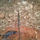 부귀농장 이미지