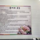 흑산도홍어집 이미지