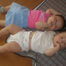 청온사슴농장 이미지