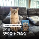 냥이와 양이 | 😺냥이들을 위한 귀여운 간식타입 &#34;펫라벨 캣쮸쮸 닭가슴살&#34;😺