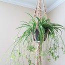 무진가든 이미지