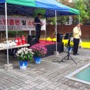 신안주공3차아파트 이미지