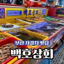 백호상회 | 자갈치시장 가성비 횟집 남포동 횟집 백호상회