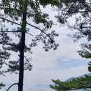 저구해안길 이미지