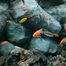 롯데월드아쿠아리움 이미지