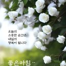 ♤세계 7대 불가사의♧ 이미지